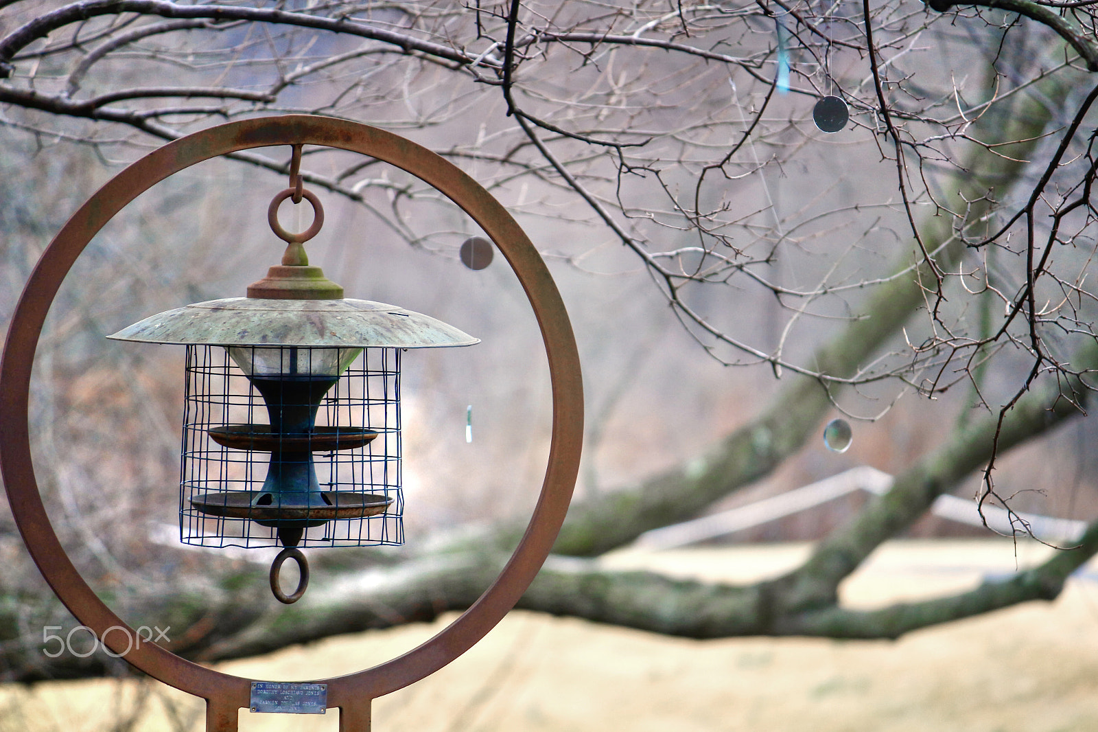Canon EF-S 55-250mm F4-5.6 IS sample photo. Peaceful photography
