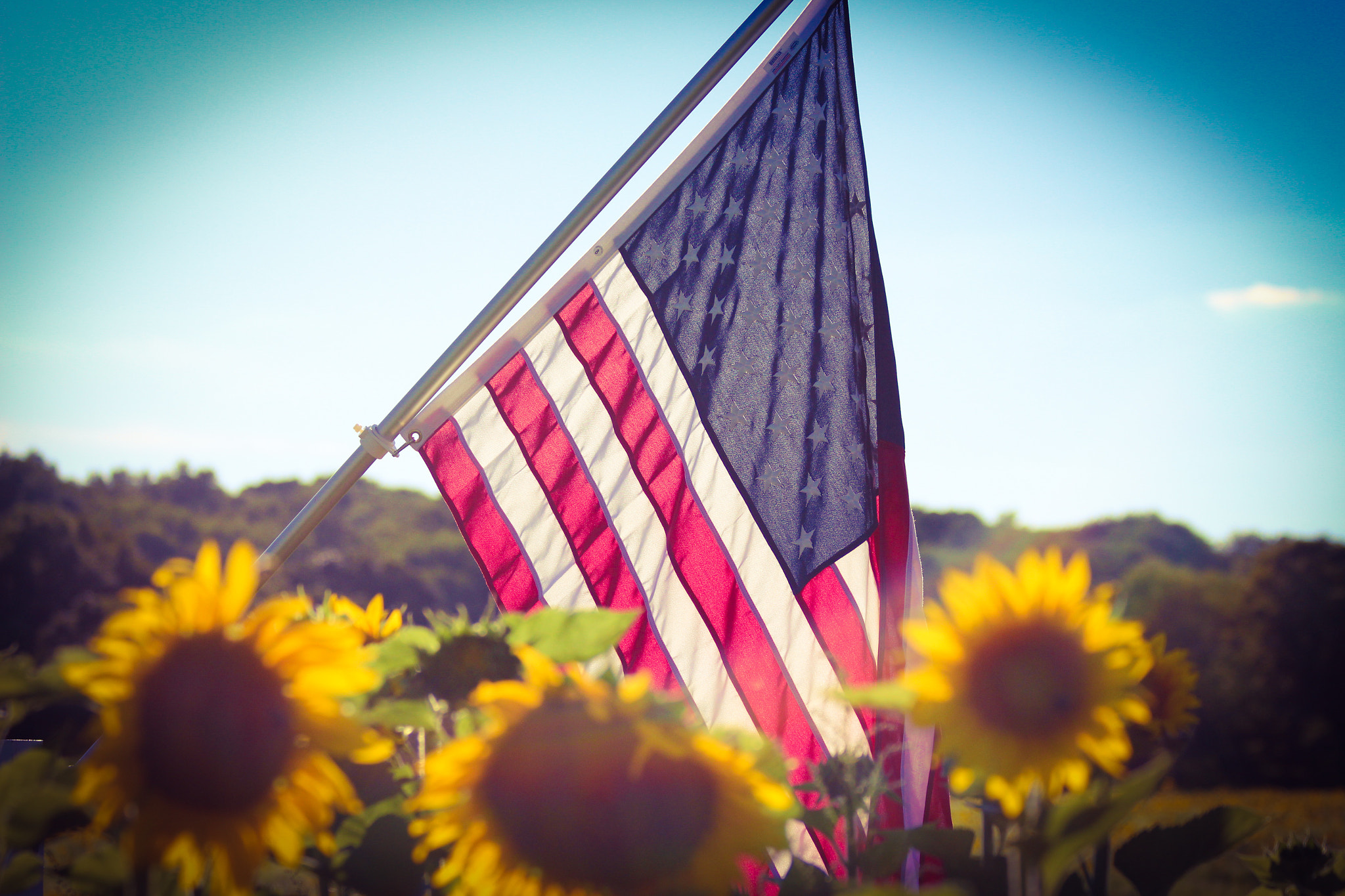Canon EF 70-300mm F4-5.6 IS USM sample photo. American flag at the sussex county sunflower maze 2016 photography