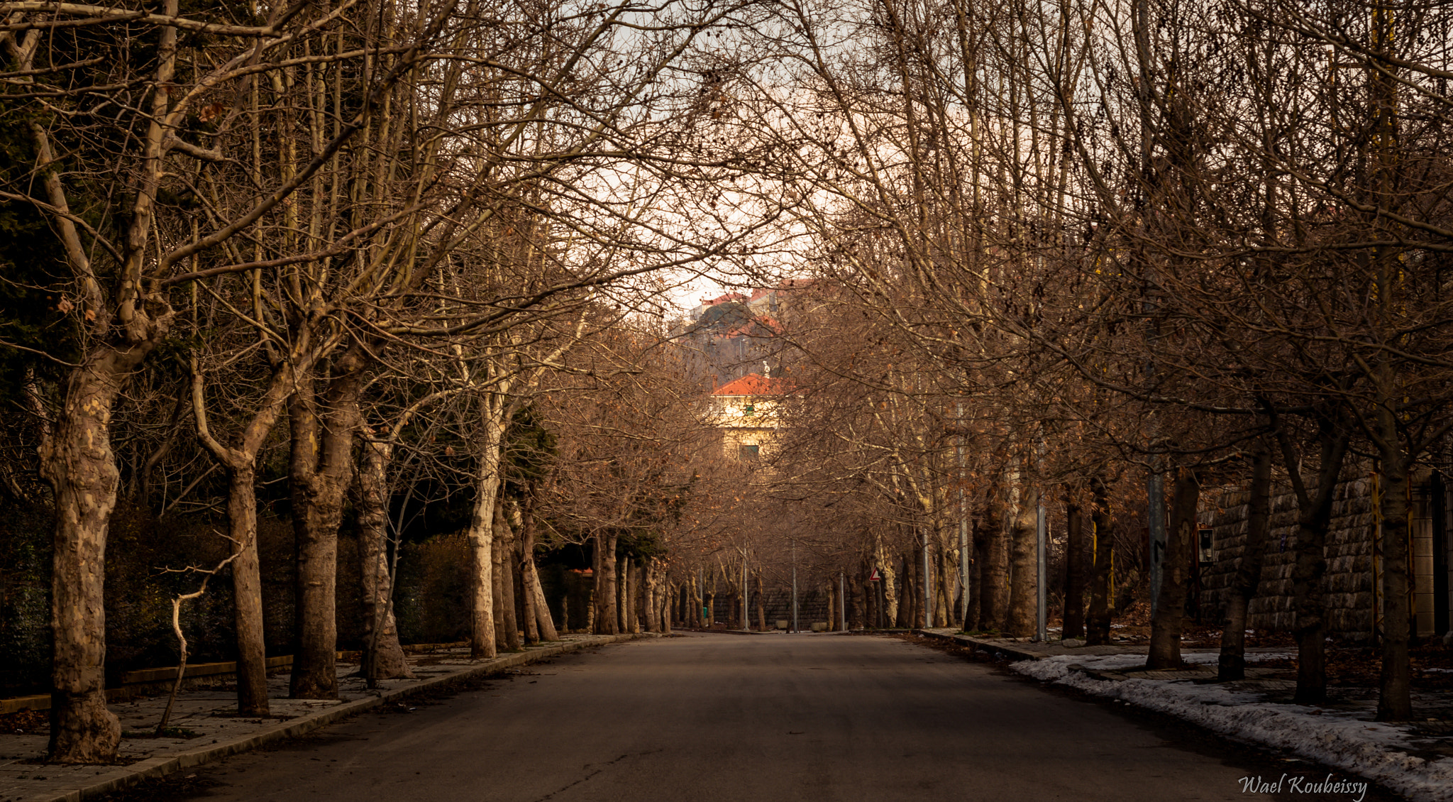 Nikon D5500 + Nikon AF Nikkor 50mm F1.8D sample photo. The winter path photography