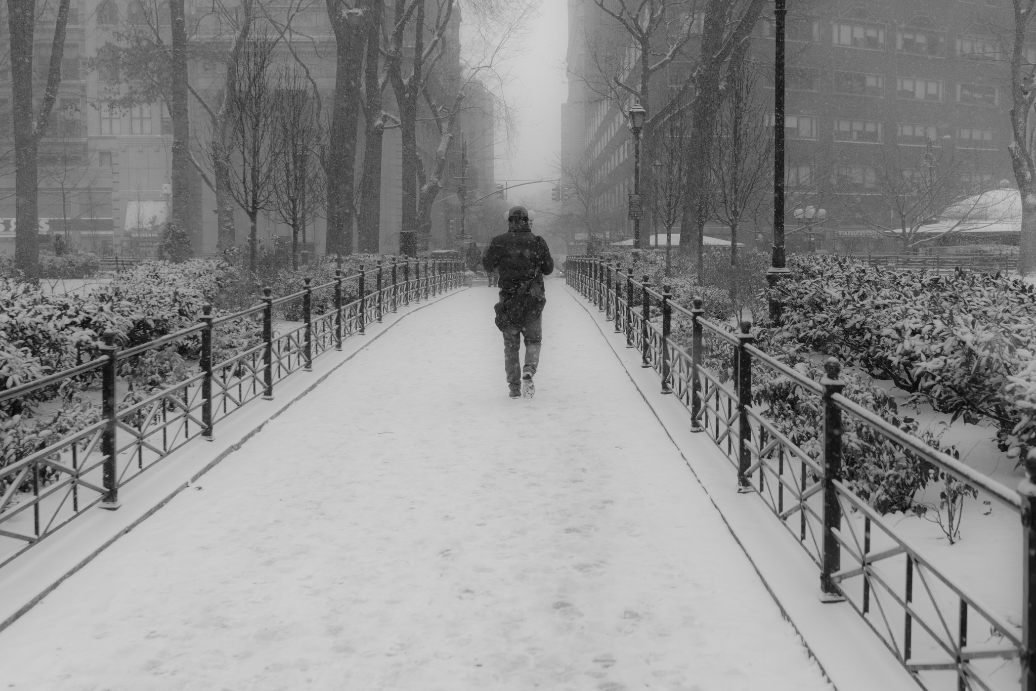 Sony Alpha NEX-7 + Sony Sonnar T* E 24mm F1.8 ZA sample photo. Searching through the snow photography