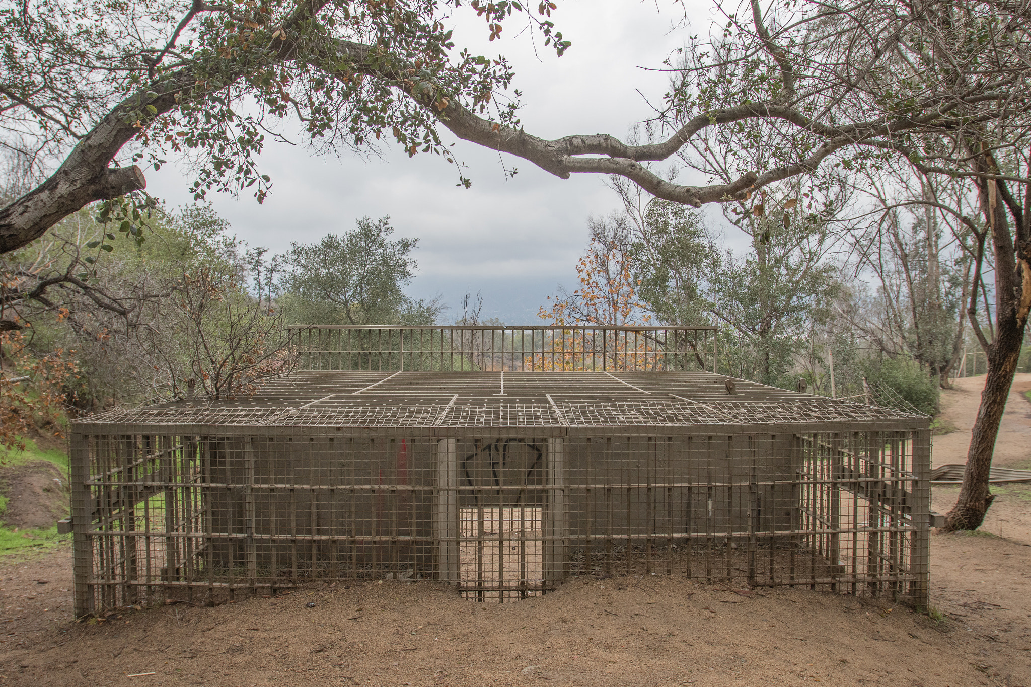 Canon EOS 7D Mark II sample photo. La zoo abandoned photography