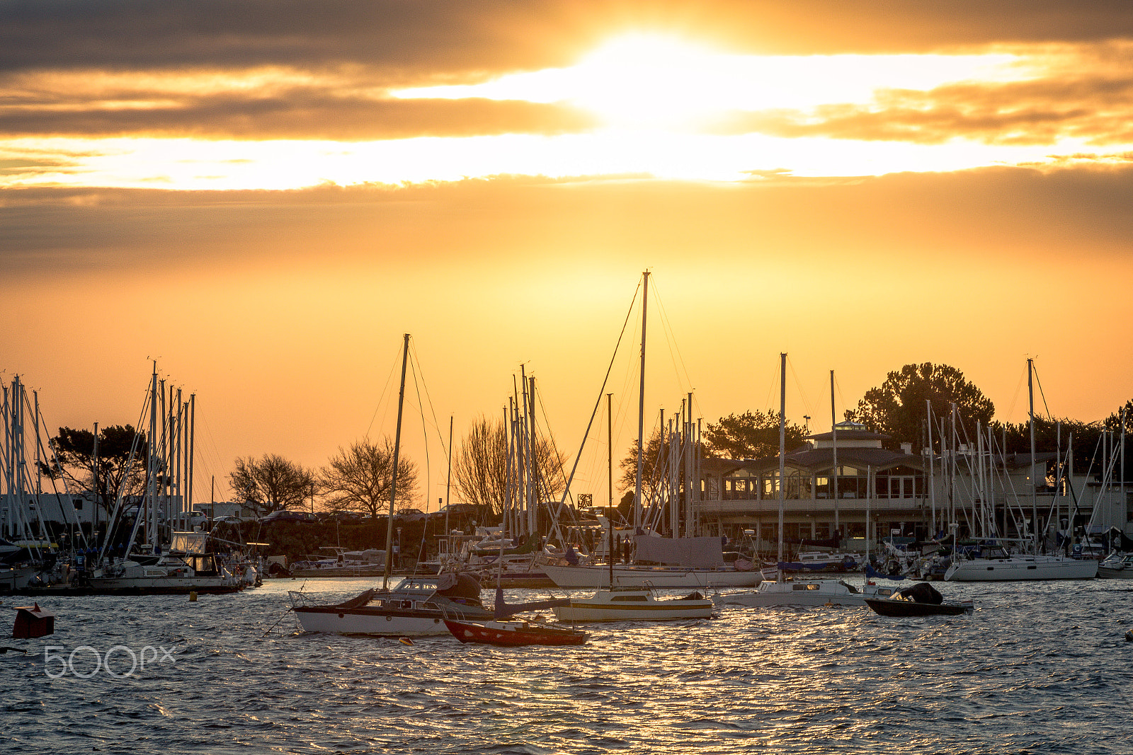 Canon EF 75-300mm f/4-5.6 USM sample photo. Marina sun photography