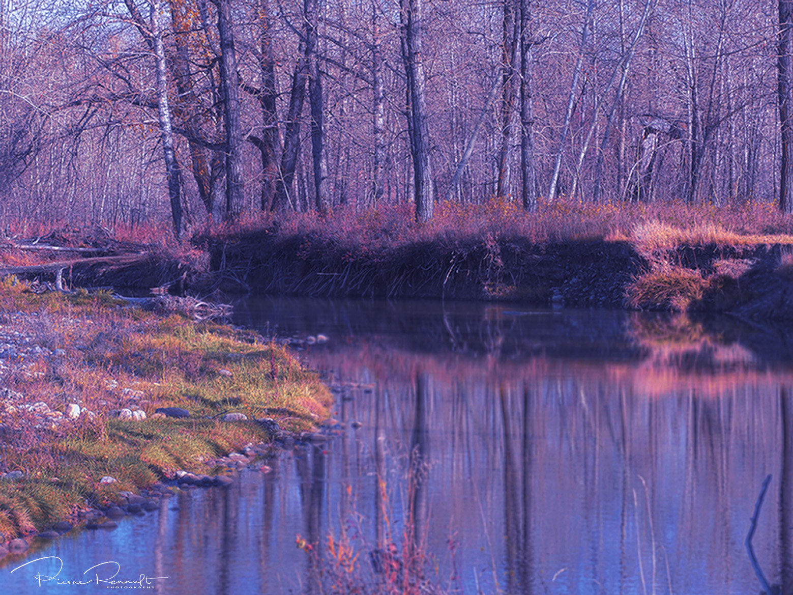 Panasonic Lumix DMC-GH4 + LEICA DG 100-400/F4.0-6.3 sample photo. Fish creek fall colors photography