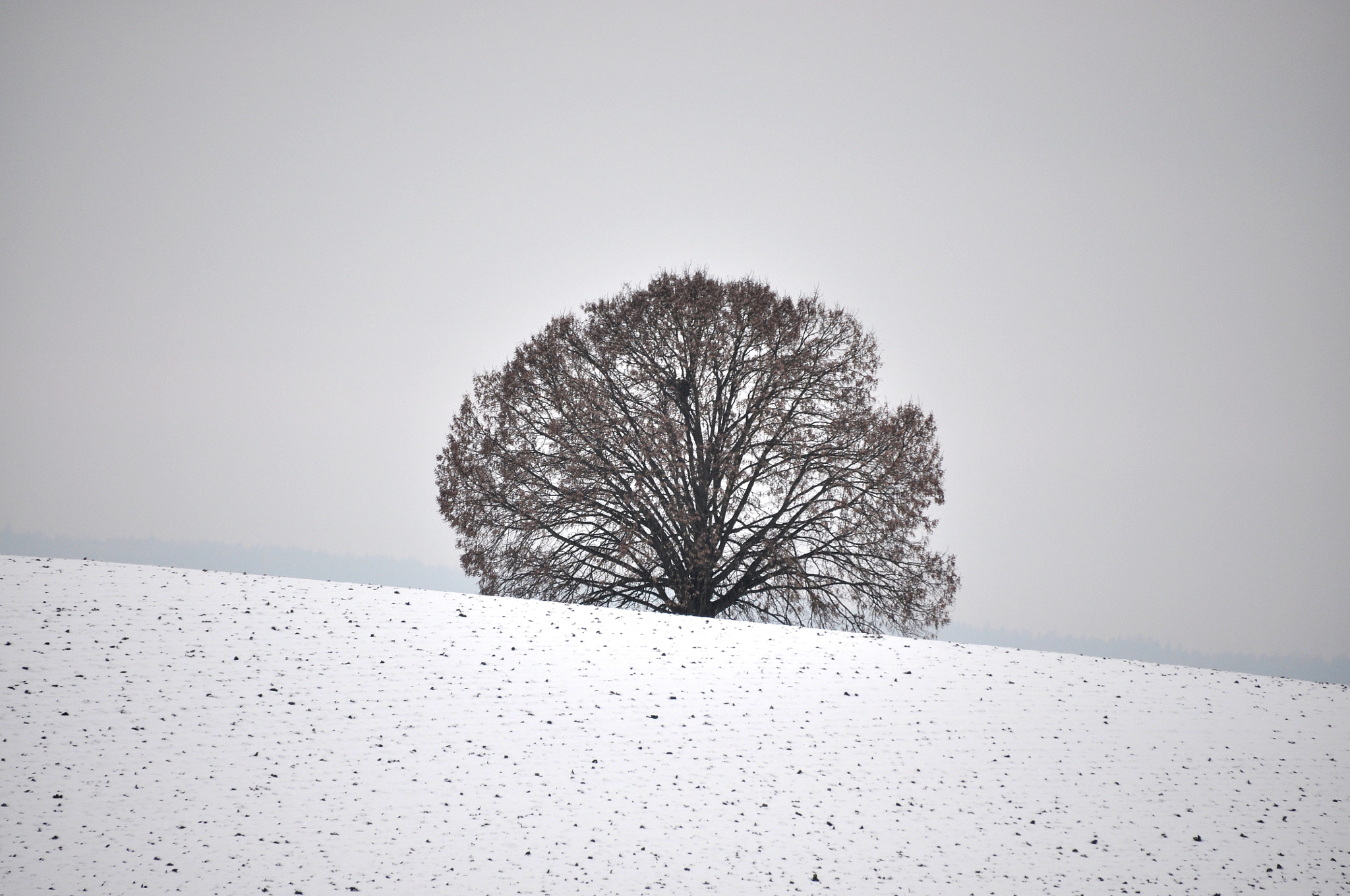 Nikon D90 sample photo. Little winter dreams ... photography