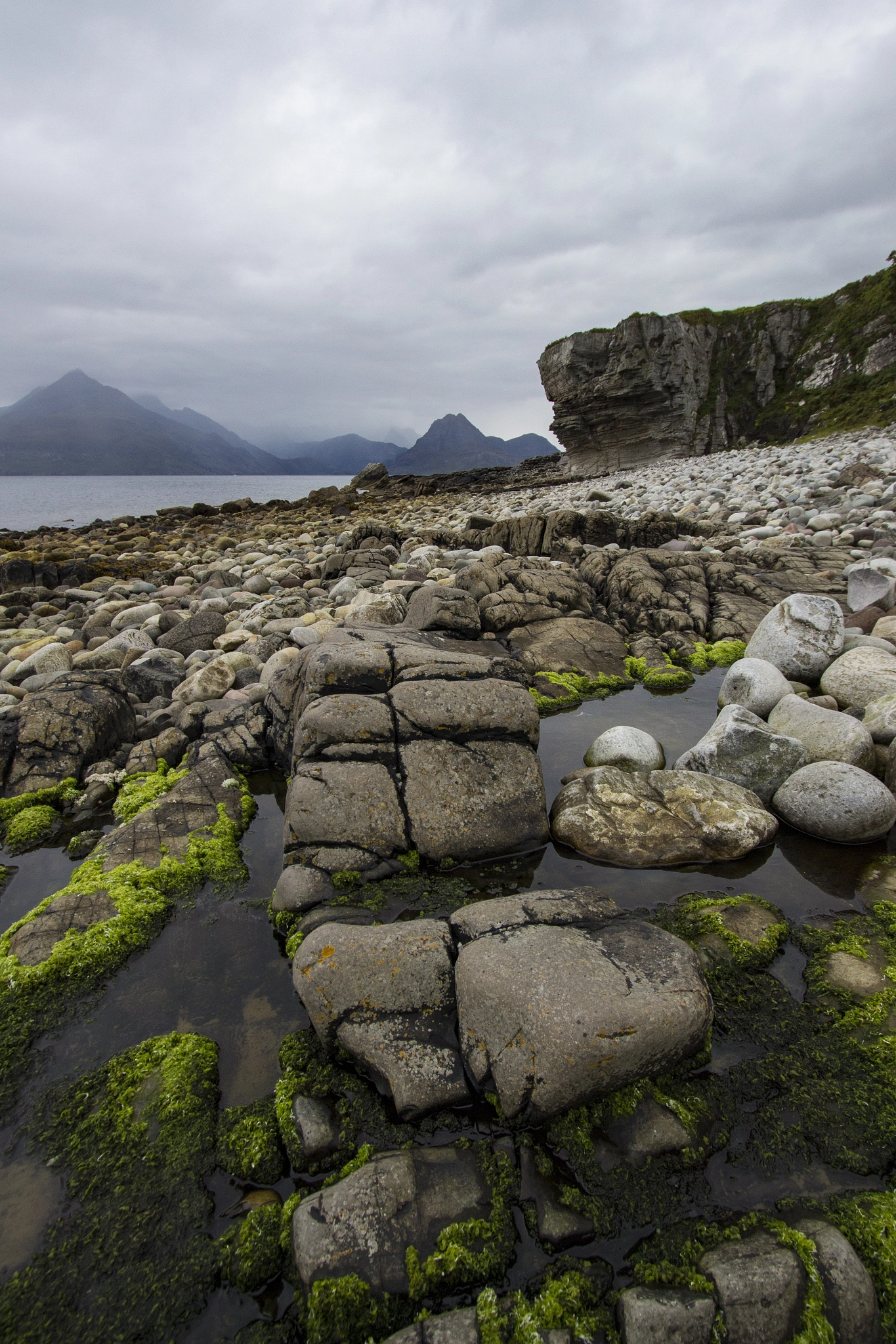 Canon EOS 650D (EOS Rebel T4i / EOS Kiss X6i) sample photo. Moody moss photography