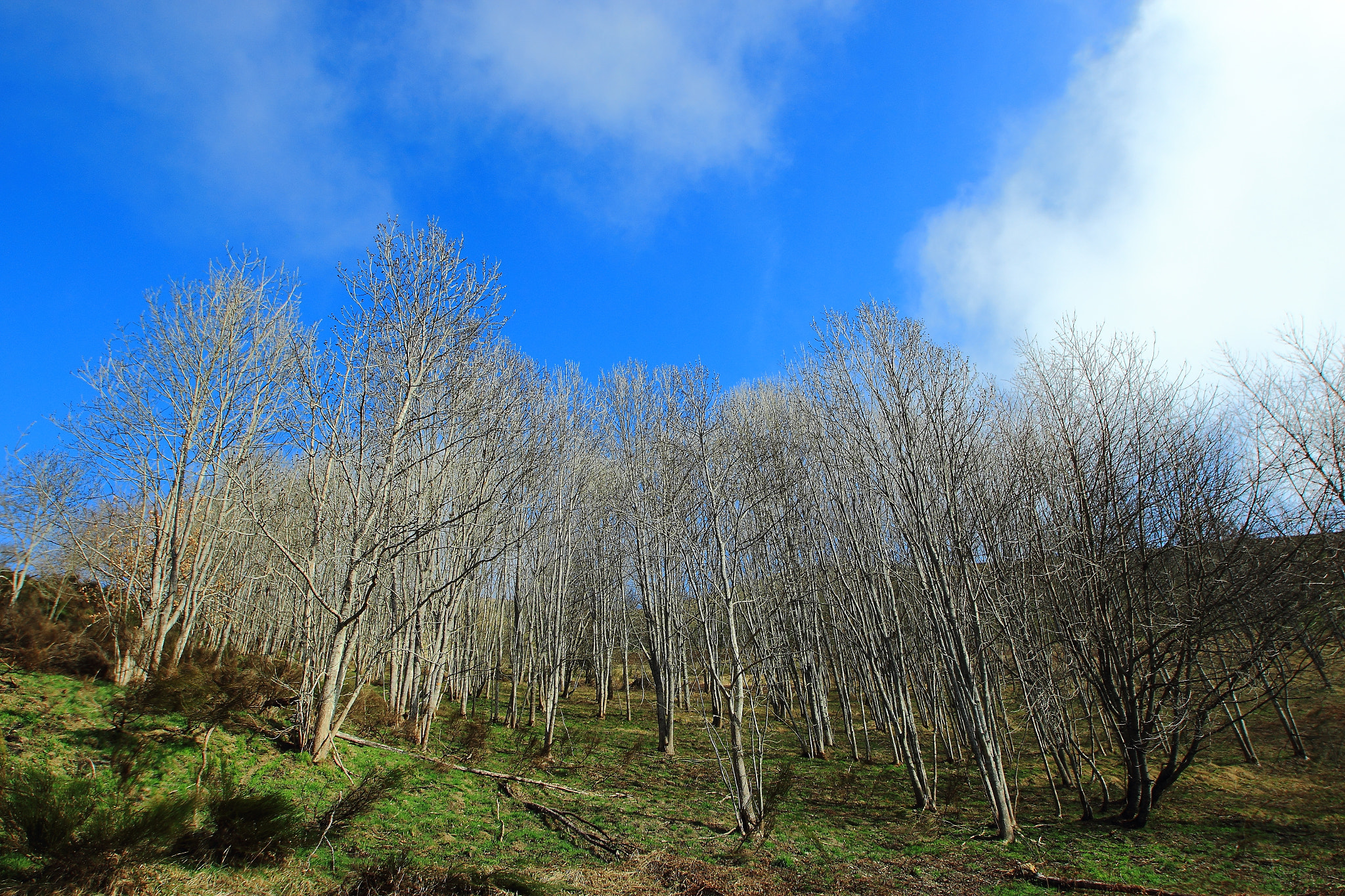 Sigma 10-20mm F3.5 EX DC HSM sample photo. Img photography