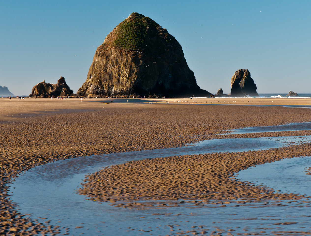 Nikon D300S + Nikon AF-S DX Nikkor 18-70mm F3.5-4.5G ED-IF sample photo. Cannon beach and haystack rock photography