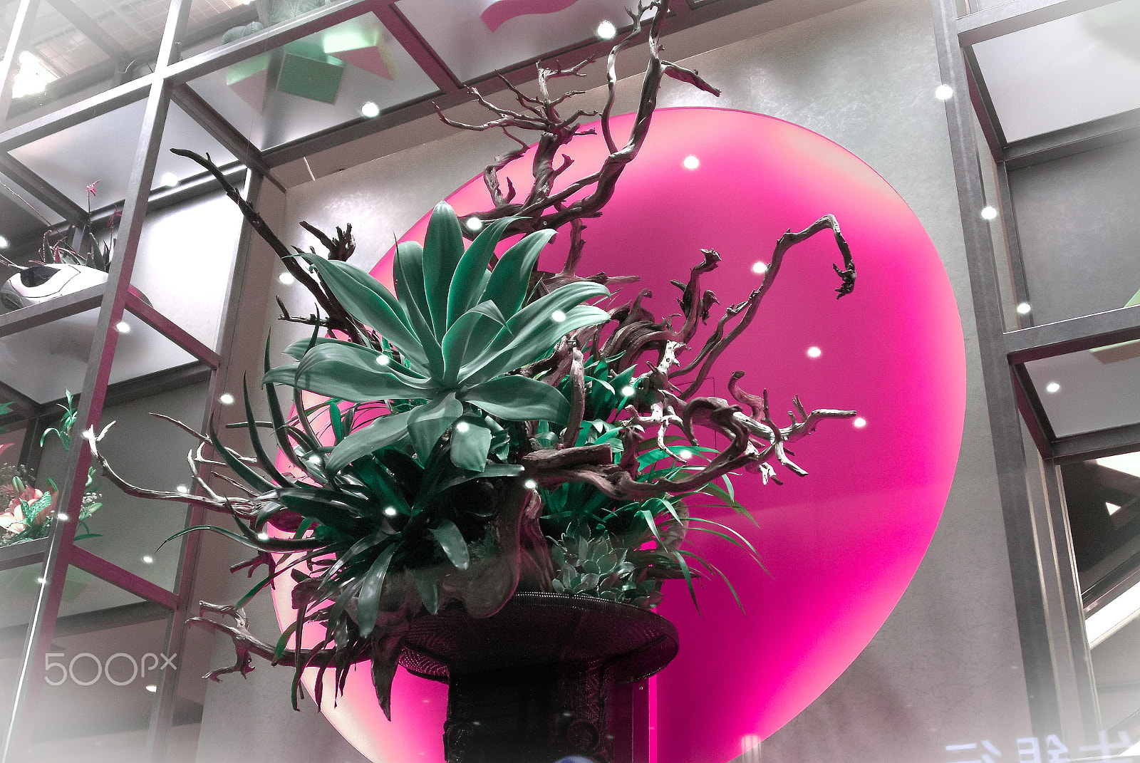 Nikon D200 sample photo. Japanese new year flower arrangement 3 photography