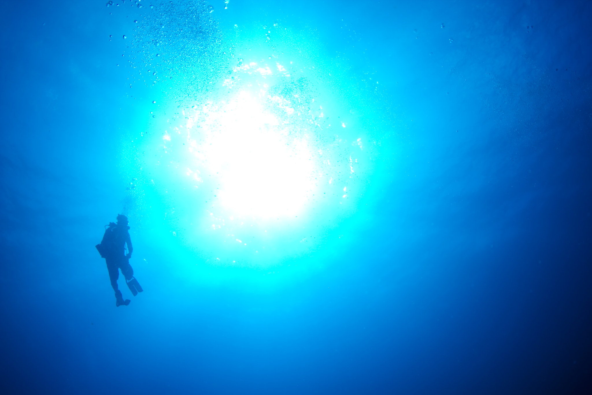 Canon EOS 7D + Tokina AT-X 10-17mm F3.5-4.5 DX Fisheye sample photo. Diver into the light photography