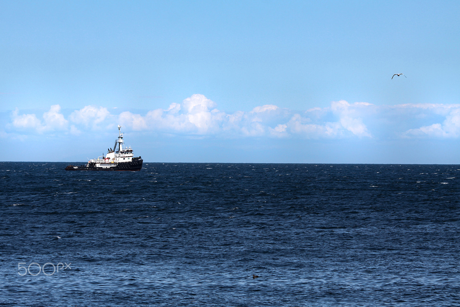 Canon EOS 50D sample photo. The deep blue sea photography