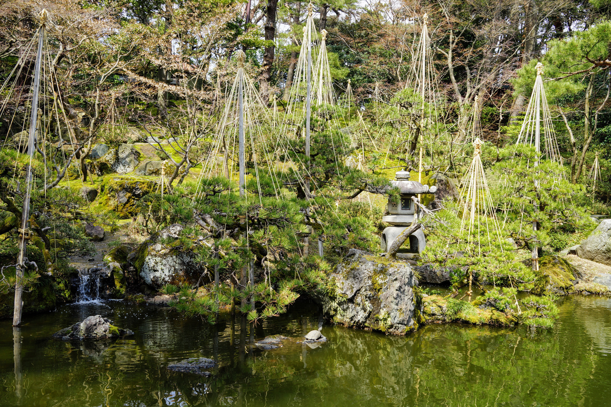 Sony Cyber-shot DSC-RX1 sample photo. Winter scene in niigata city photography