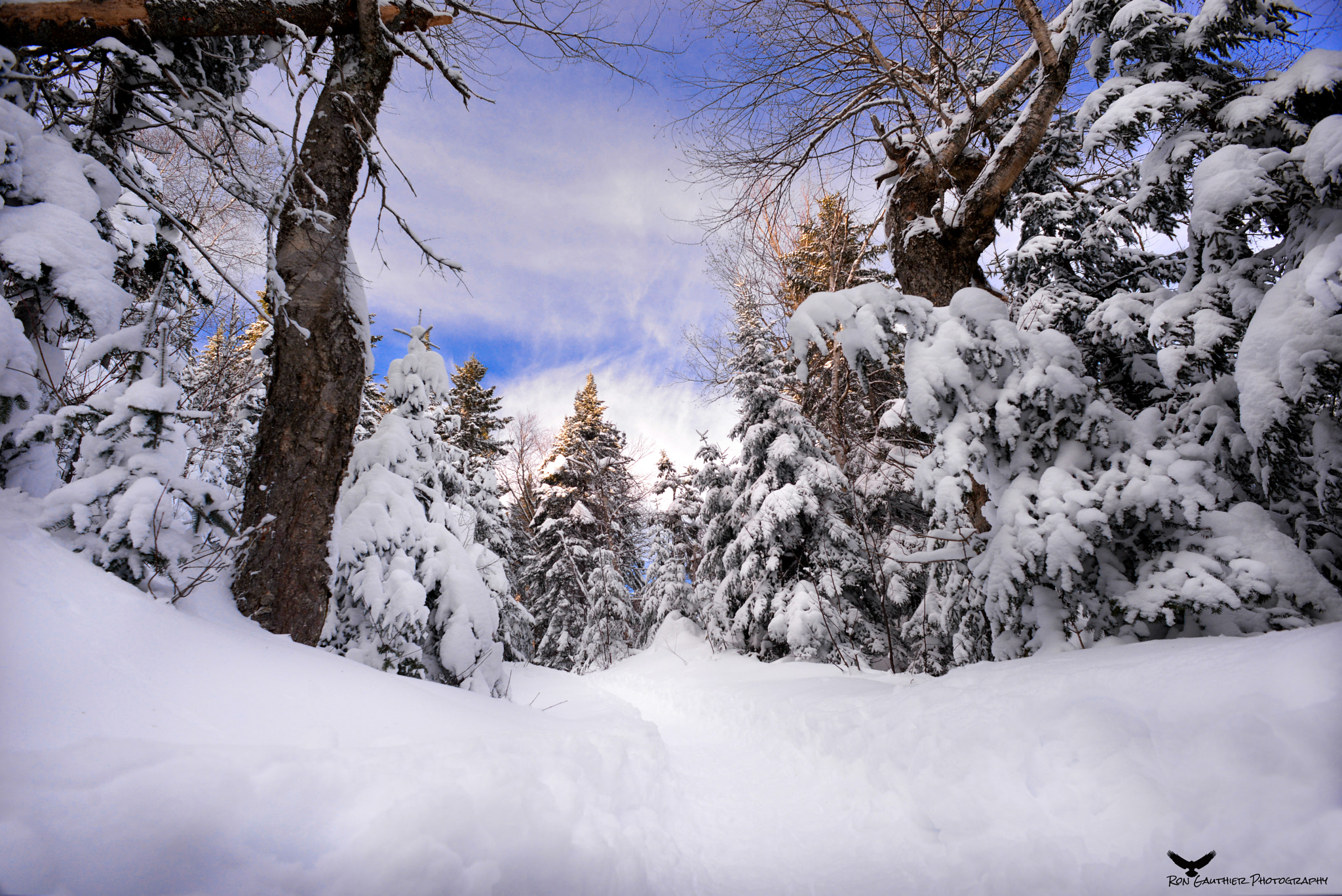 Nikon D610 + Nikon AF Nikkor 20mm F2.8D sample photo. Winter wonderland ! photography