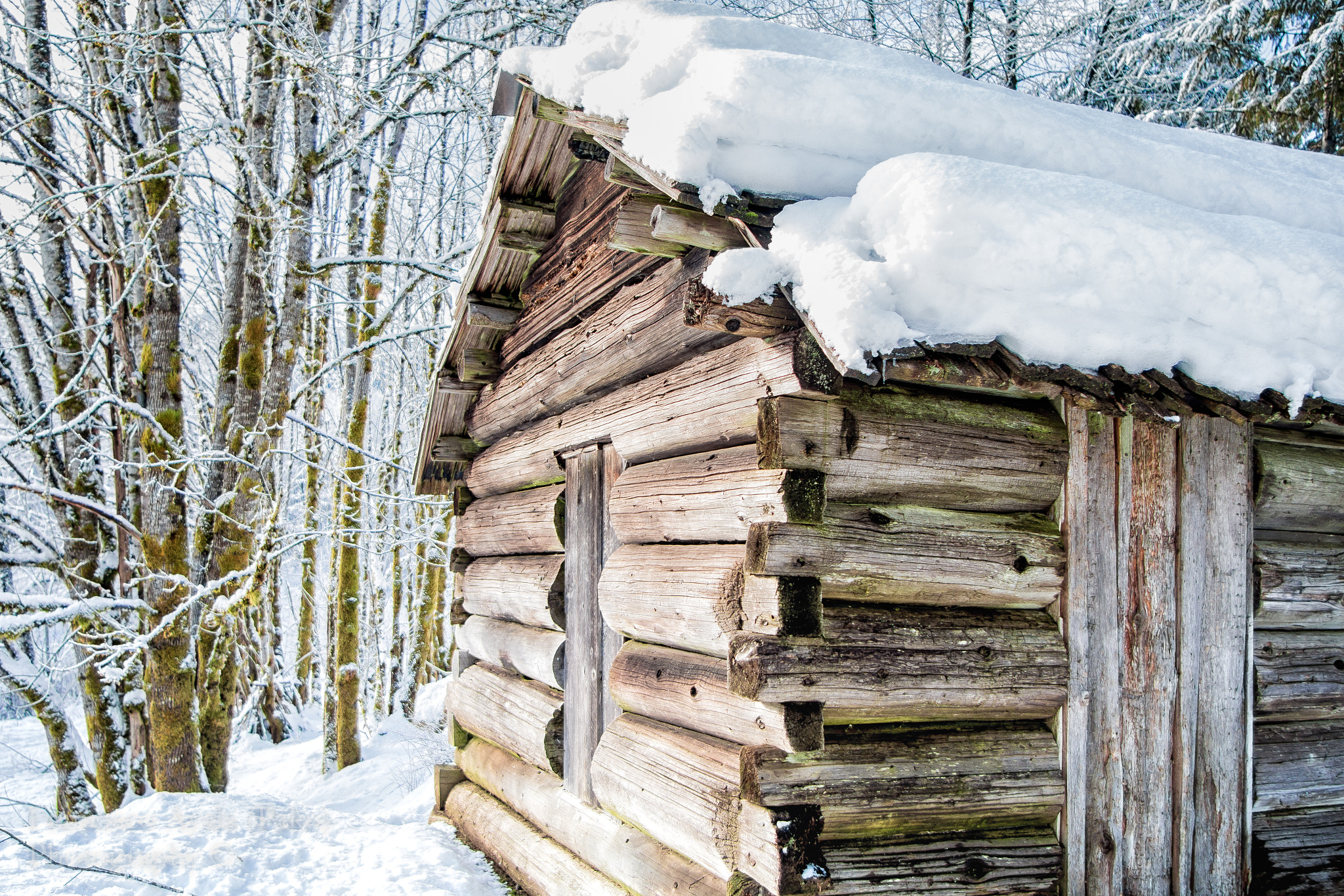 Canon EF 20-35mm f/2.8L sample photo. Winter is beautiful photography