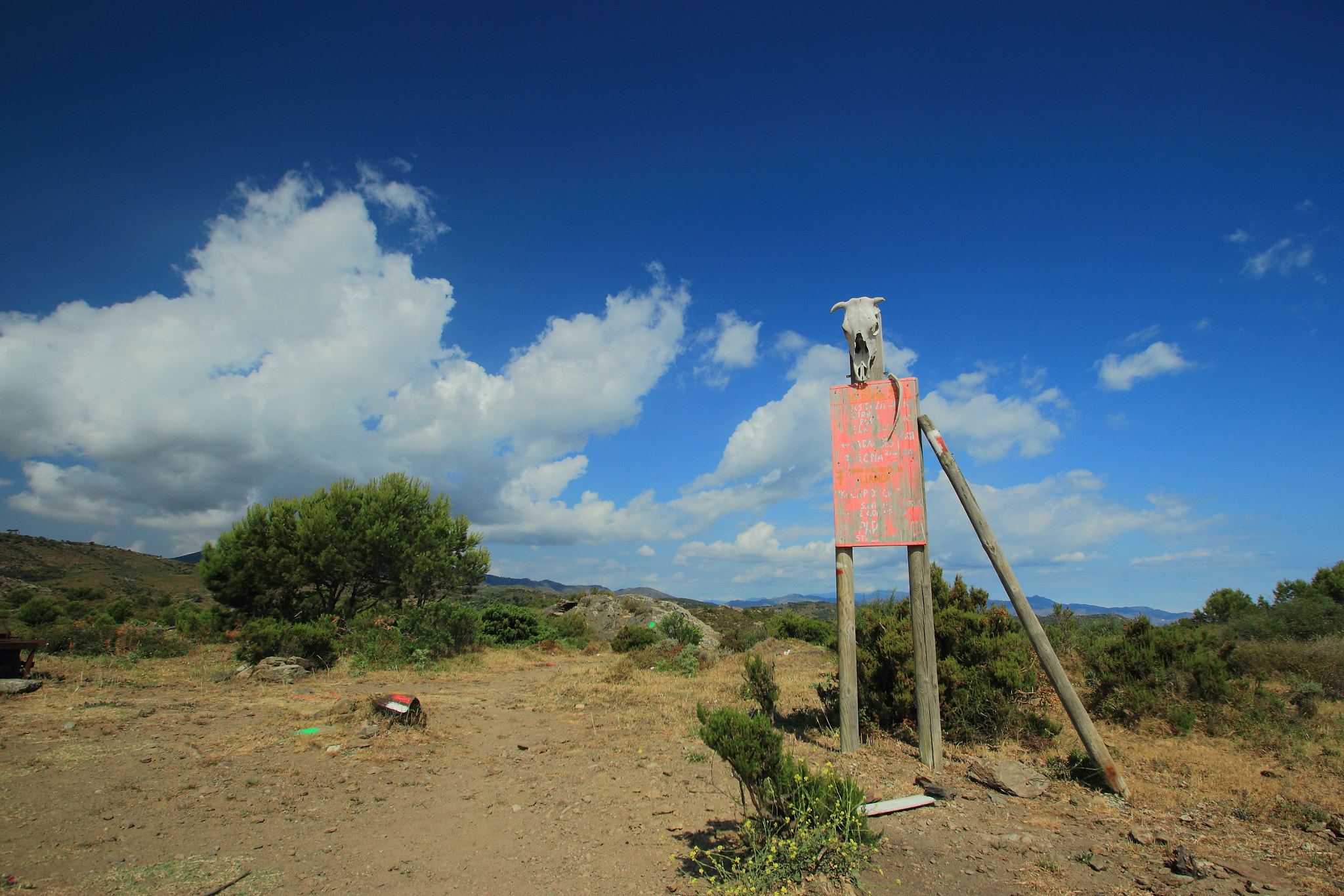 Sigma 10-20mm F3.5 EX DC HSM sample photo. Img photography