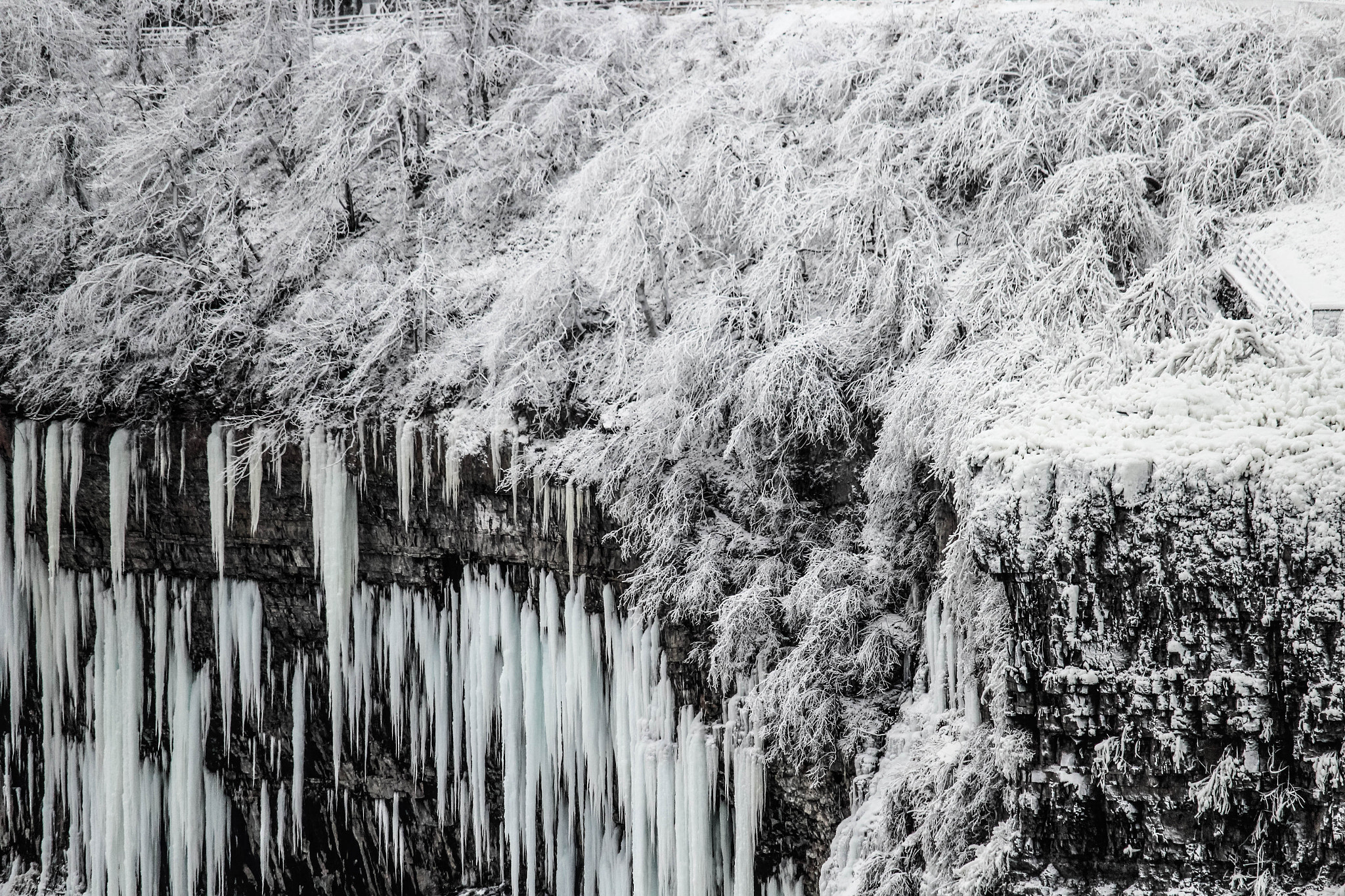 Canon EF-S 55-250mm F4-5.6 IS STM sample photo. Cold photography