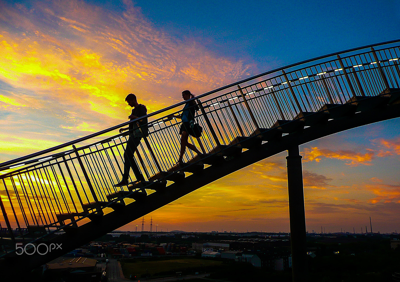 Panasonic DMC-TZ2 sample photo. The couple and tiger and turtle photography