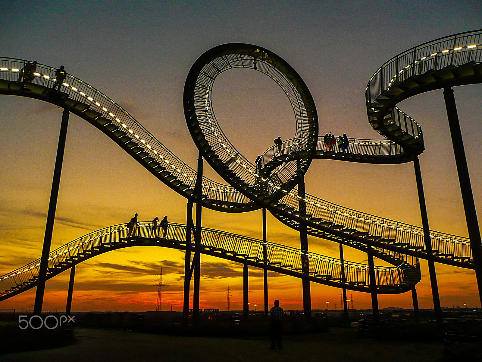 Panasonic DMC-TZ2 sample photo. I love tiger and turtle!!! photography