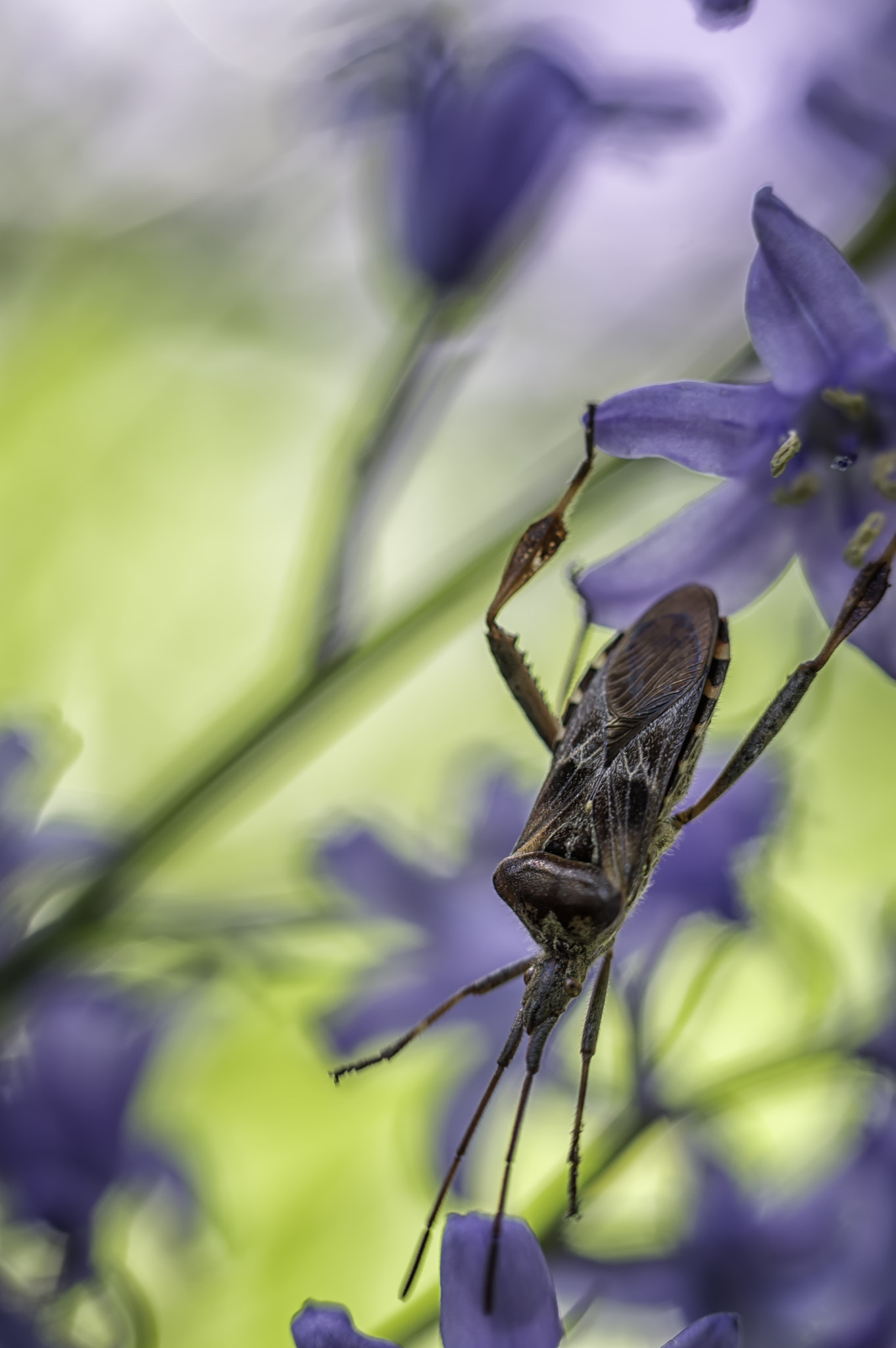 Nikon D3200 sample photo. Just a little bit...further... photography