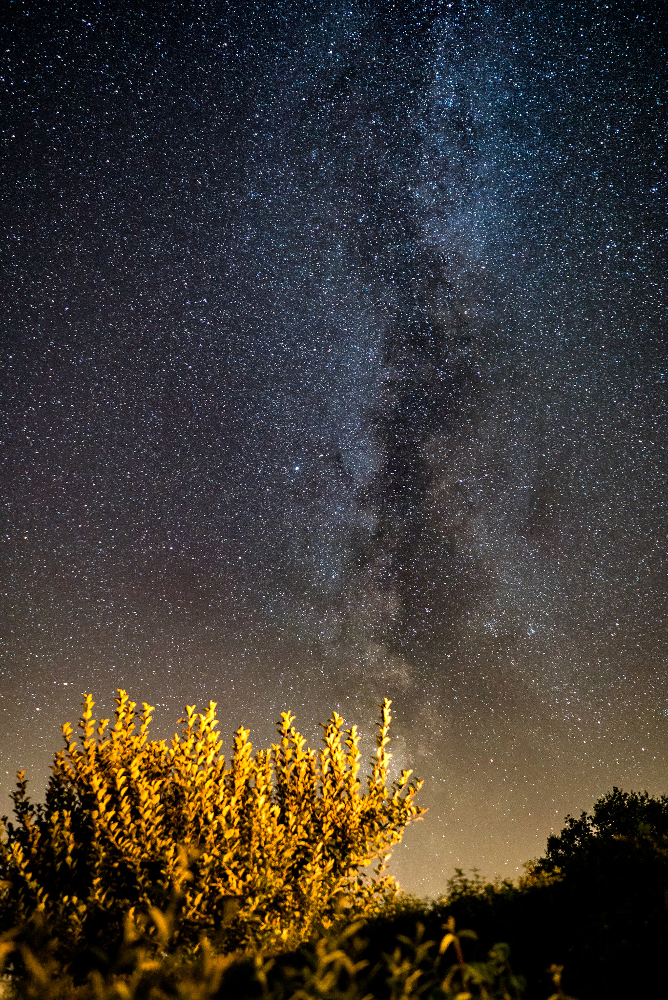 Sony FE 28mm F2 sample photo. Milkey busch photography