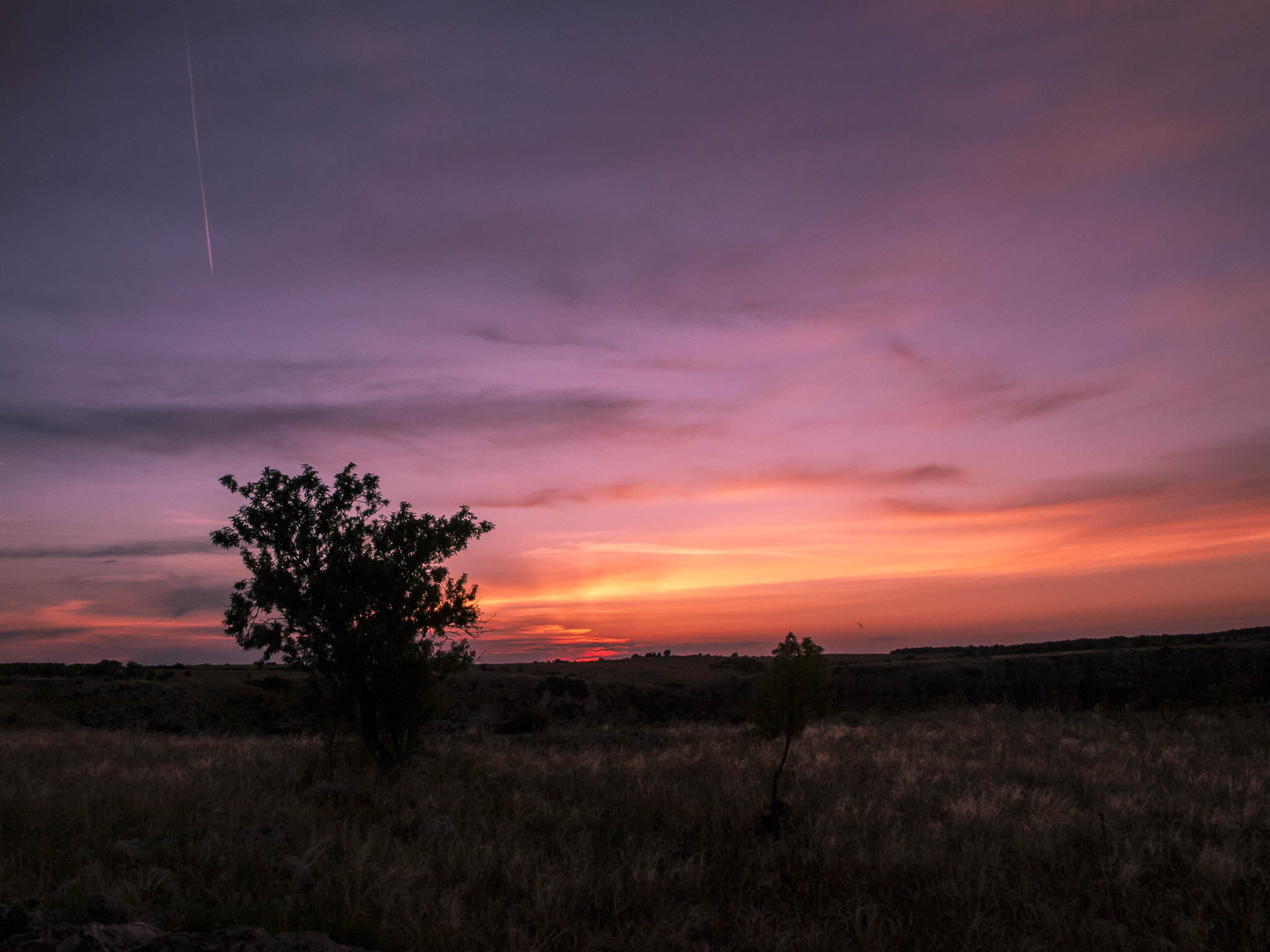 Olympus E-450 (EVOLT E-450) + OLYMPUS 14-42mm Lens sample photo. Sunset in murgia photography