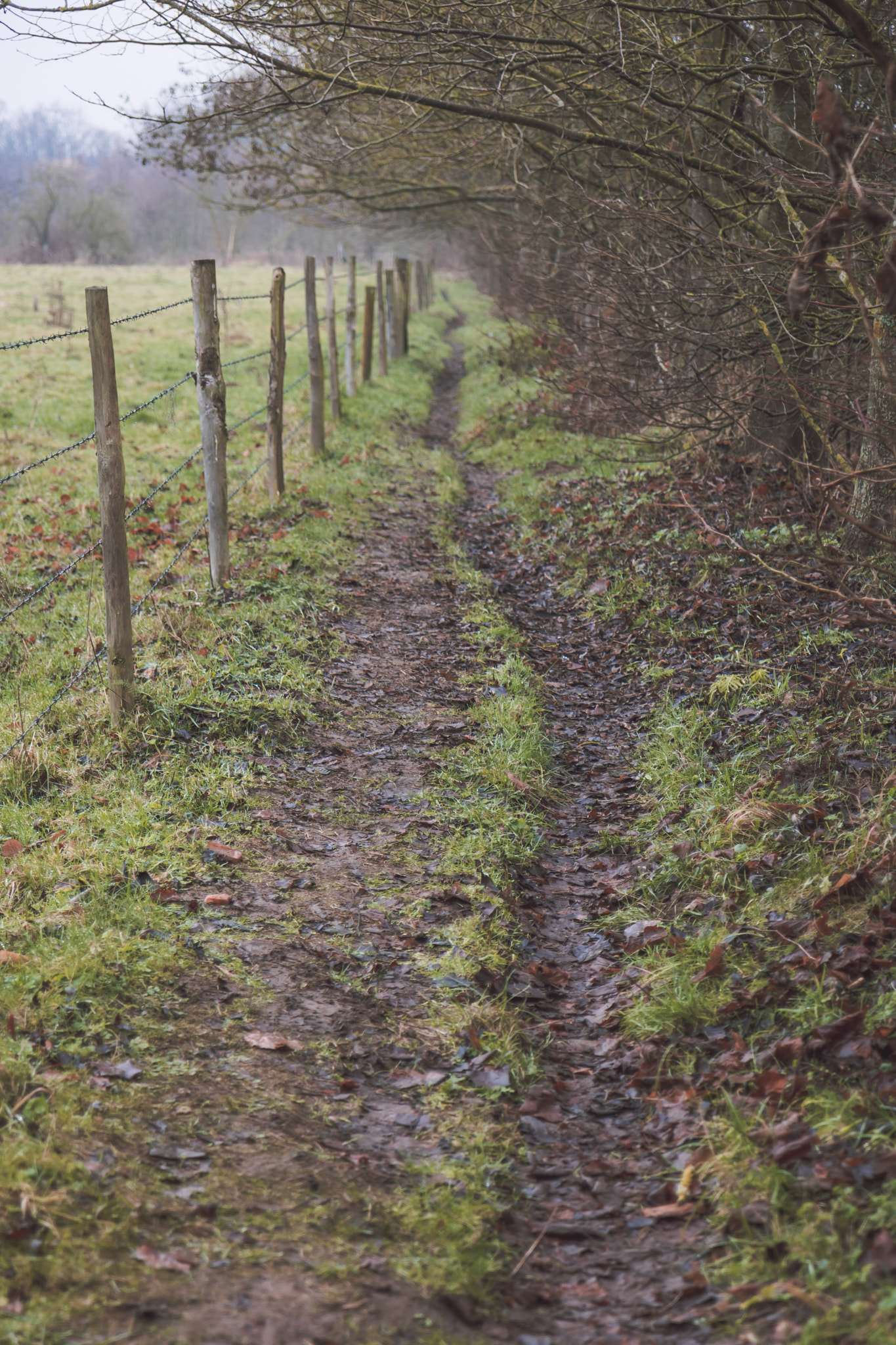 Canon EOS 750D (EOS Rebel T6i / EOS Kiss X8i) sample photo. Walk the line photography