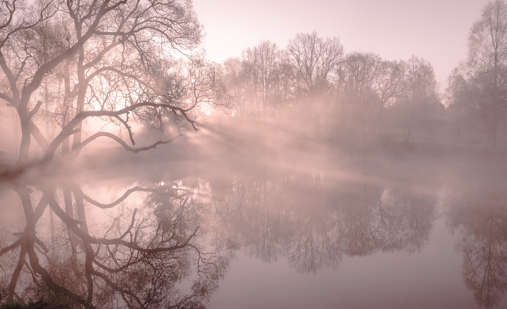 universo rosa by Sergei Borisevich on 500px.com