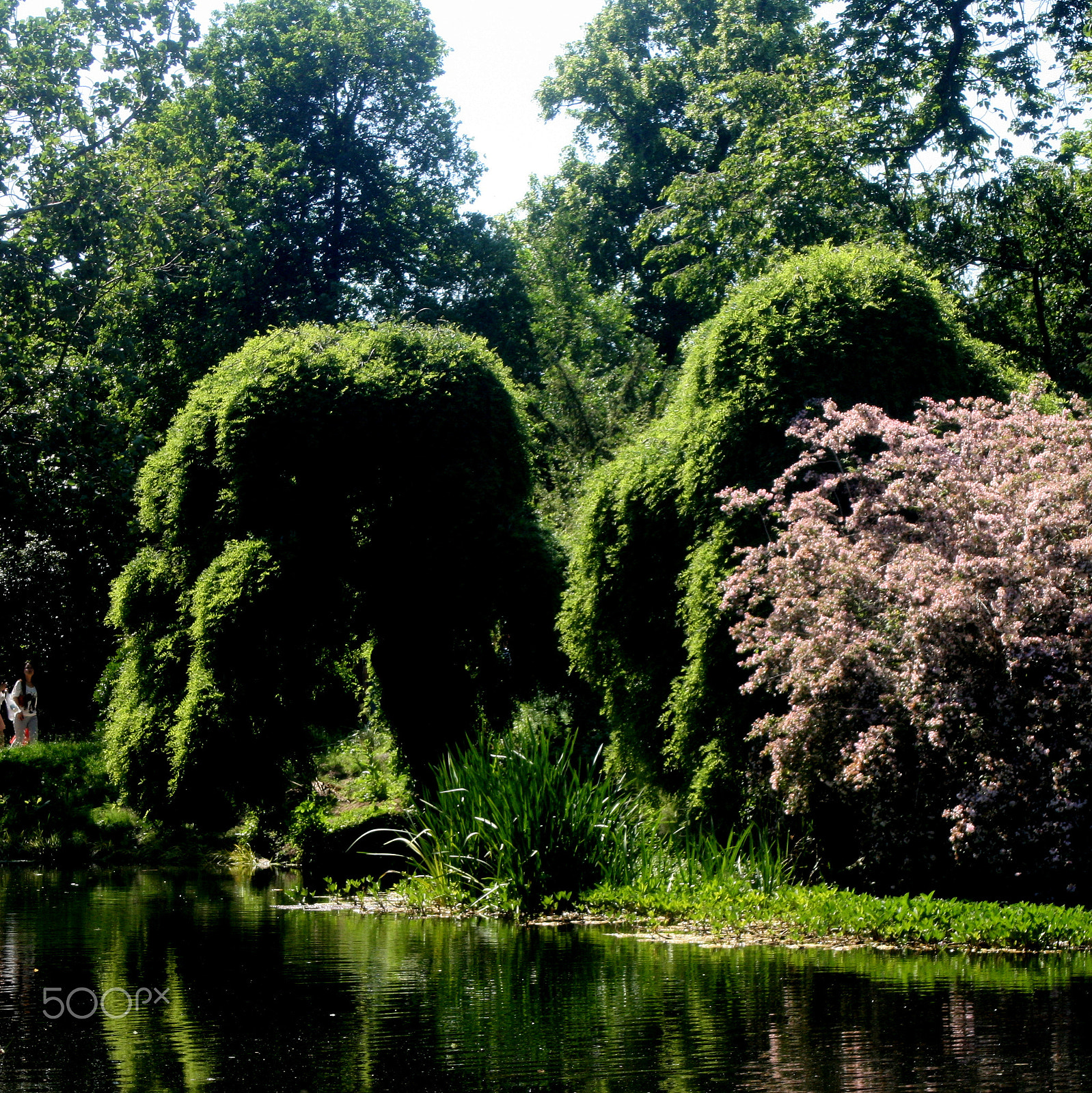 Canon EF 35-80mm f/4-5.6 sample photo. Paris - fleurs flowers jardin floral, ja() cvp lot photography