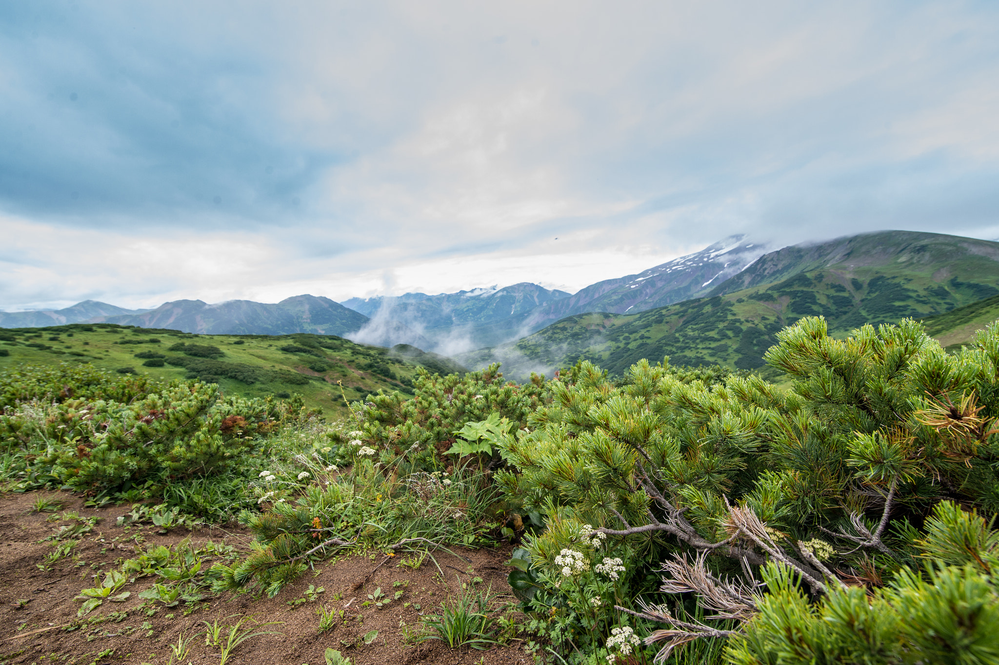 Tokina AT-X 16-28mm F2.8 Pro FX sample photo. Dsc photography