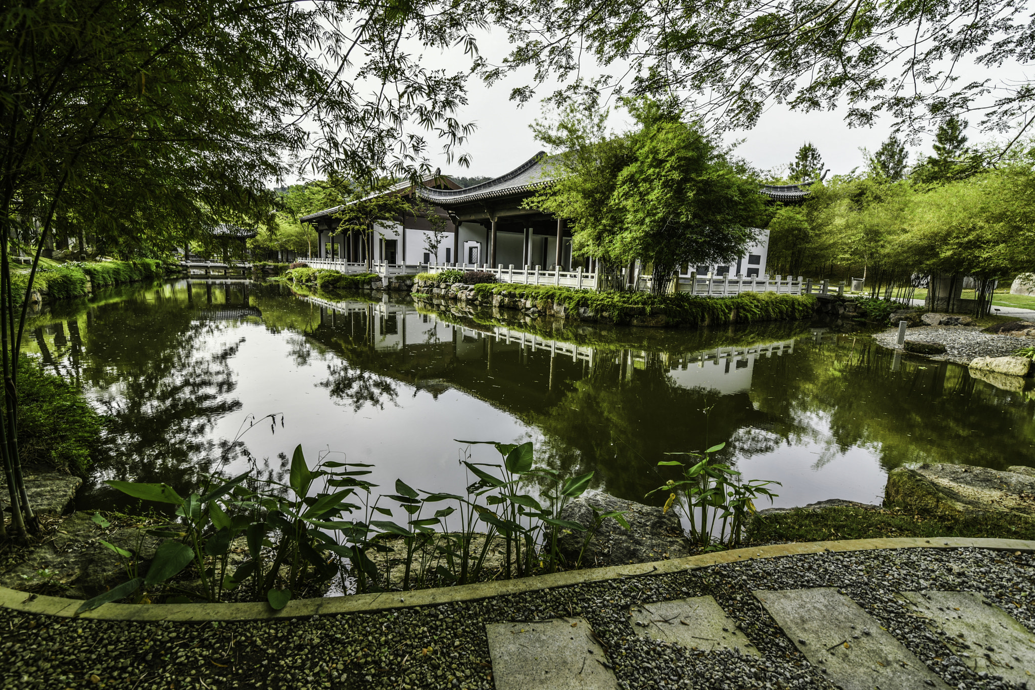 Tokina AT-X 16-28mm F2.8 Pro FX sample photo. Dsc photography