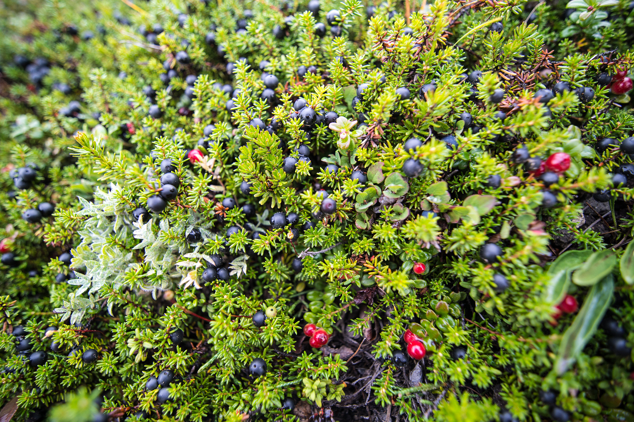Tokina AT-X 16-28mm F2.8 Pro FX sample photo. Dsc photography