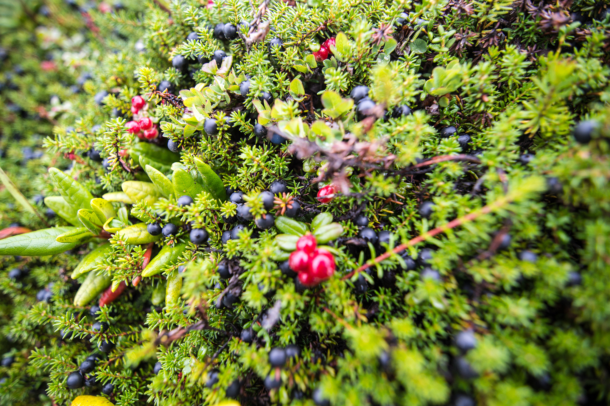 Tokina AT-X 16-28mm F2.8 Pro FX sample photo. Dsc photography