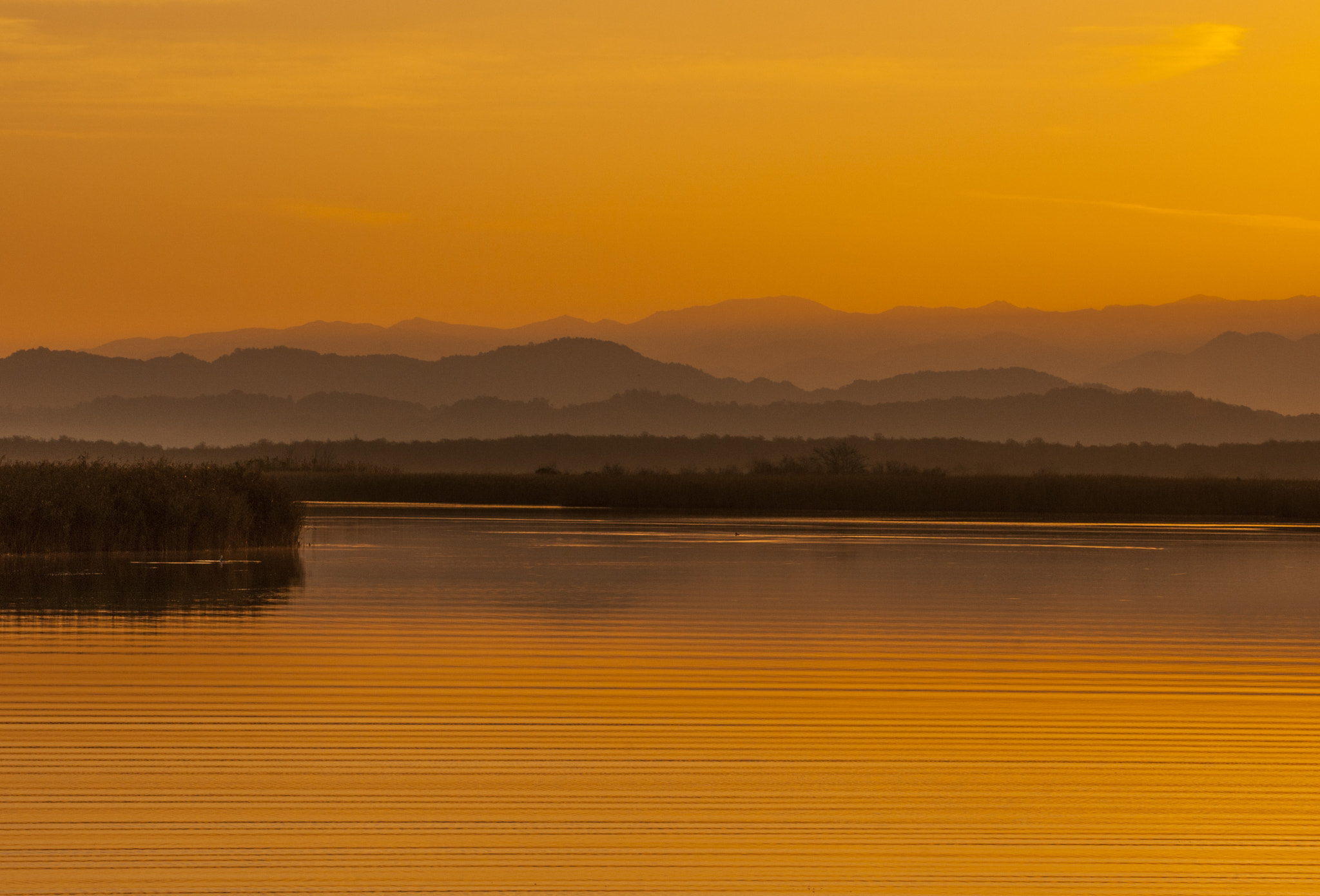 Nikon D2X sample photo. Waves and shapes... photography