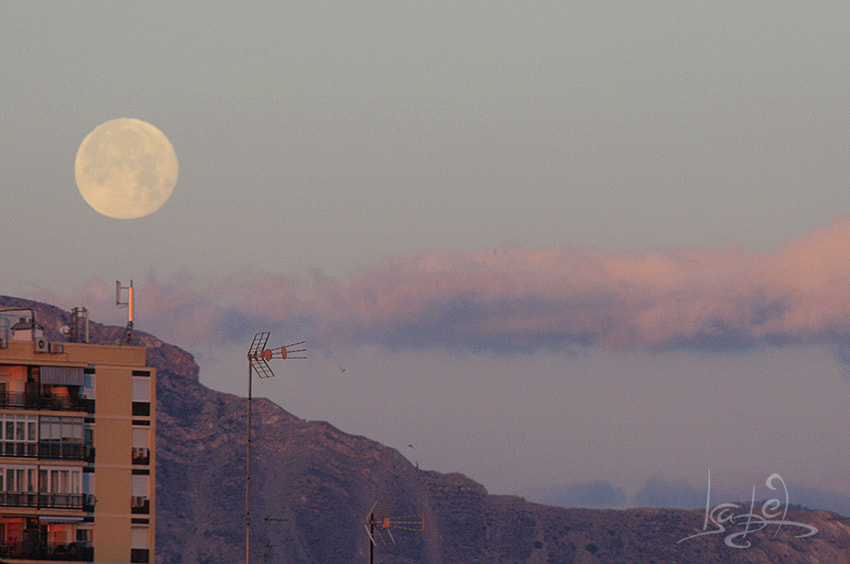 Canon EOS 450D (EOS Rebel XSi / EOS Kiss X2) + EF75-300mm f/4-5.6 sample photo. Moon on friday photography