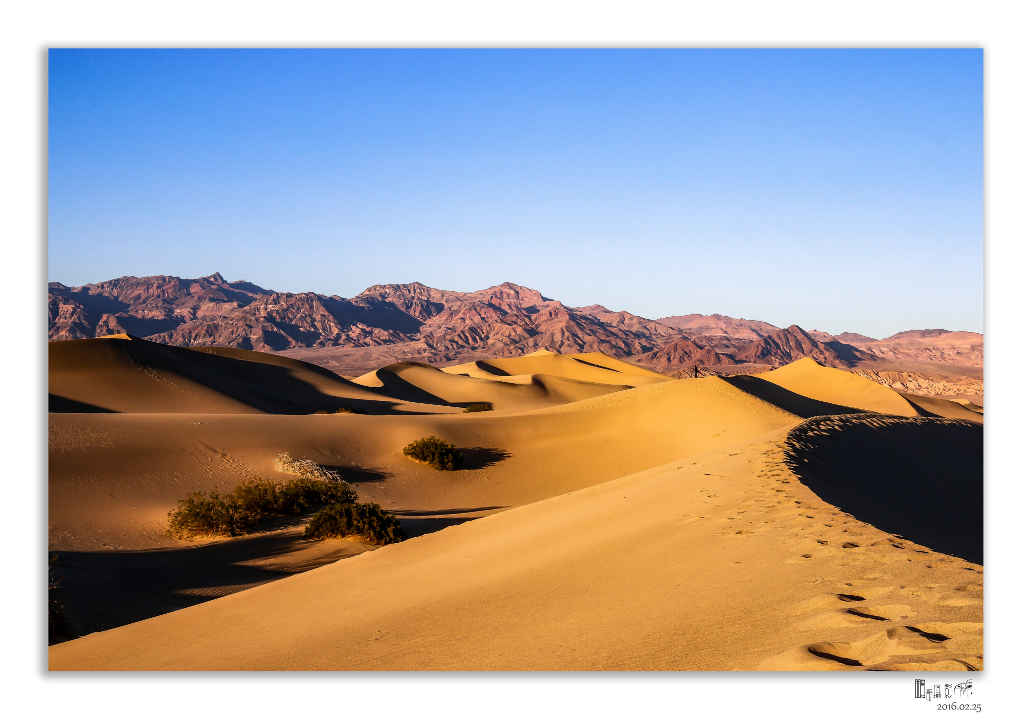 Canon EOS 70D + Canon EF 16-35mm F4L IS USM sample photo. Death valley sands dunes photography