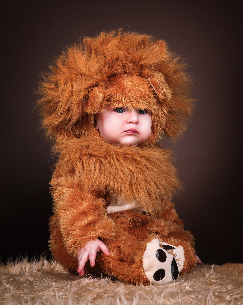 Sigma 85mm F1.4 EX DG HSM sample photo. Lion photography