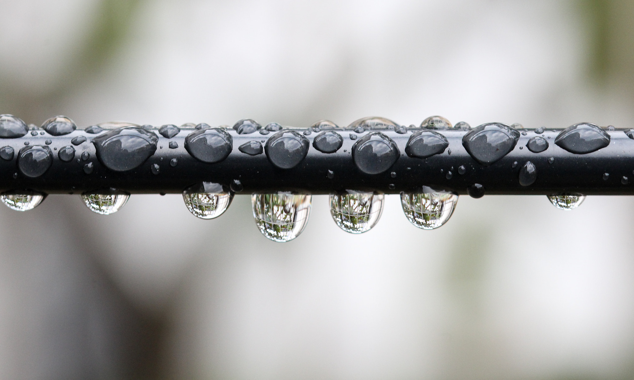 Canon EOS 600D (Rebel EOS T3i / EOS Kiss X5) + Sigma 105mm F2.8 EX DG OS HSM sample photo. Rain drops on a wire photography