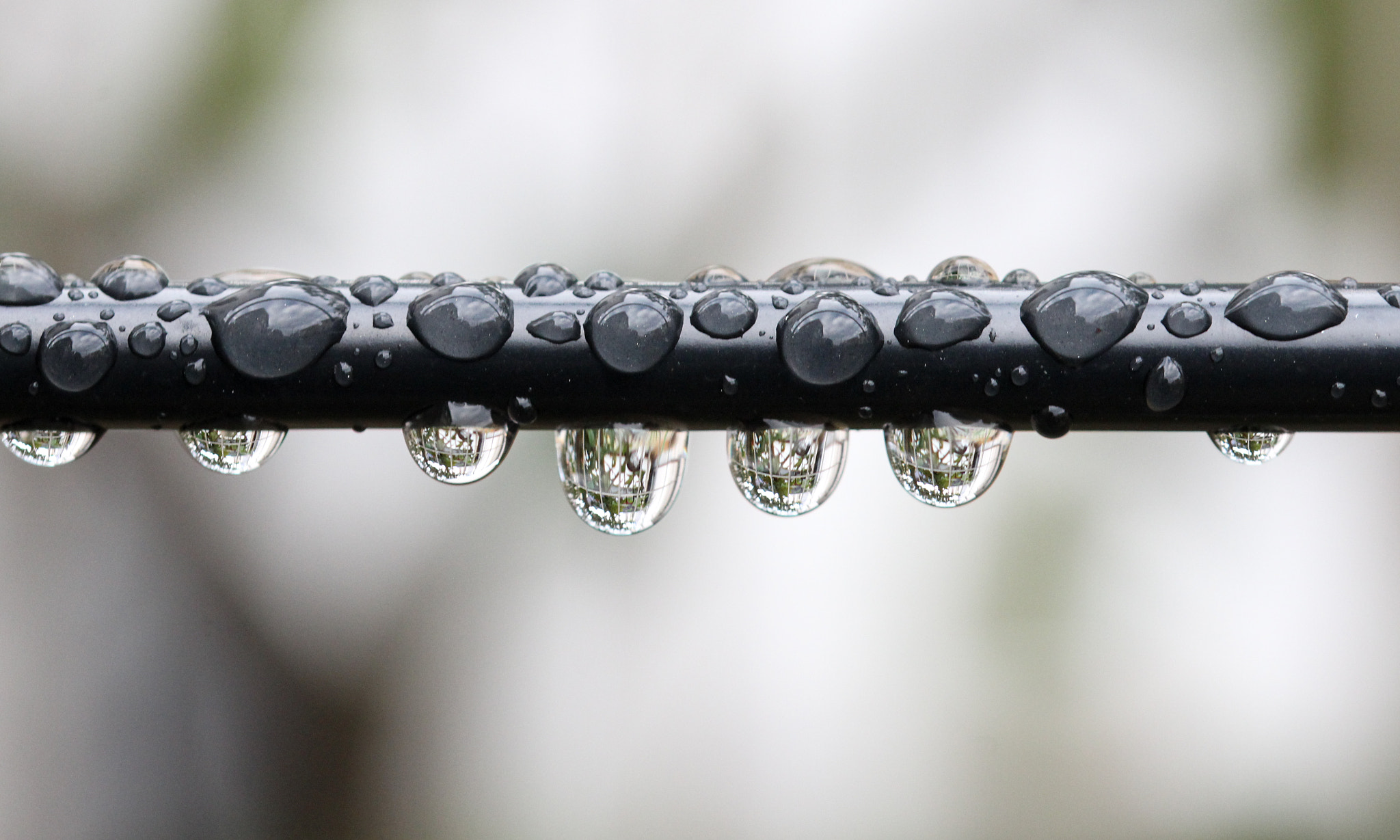 Sigma 105mm F2.8 EX DG OS HSM sample photo. Rain drops on a wire photography