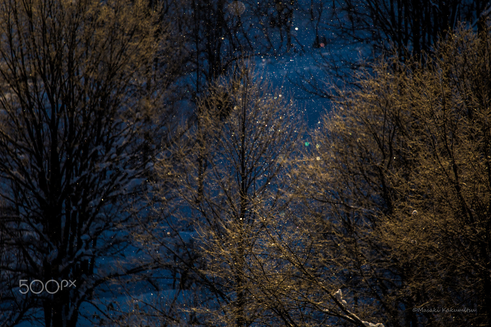 Canon EF 70-200mm F4L IS USM sample photo. Awakening of pleasure photography