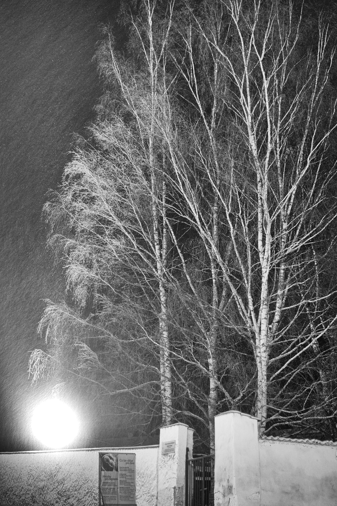 Nikon D5300 + Nikon AF-S Nikkor 50mm F1.4G sample photo. It is snowing photography