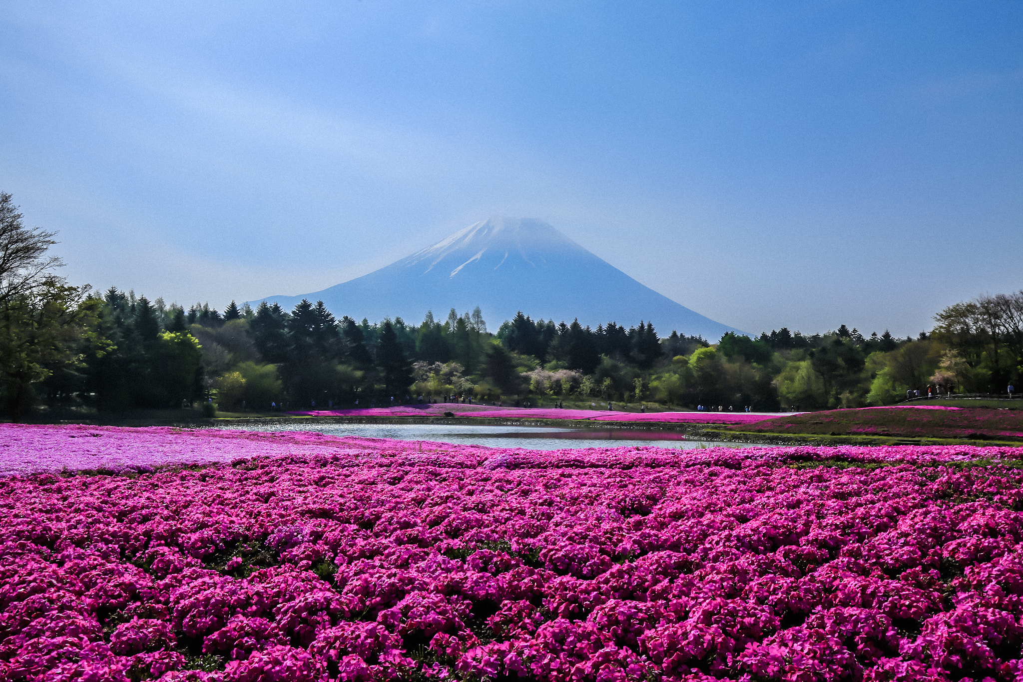 Canon EF 16-35mm F4L IS USM sample photo. Mountfuji photography