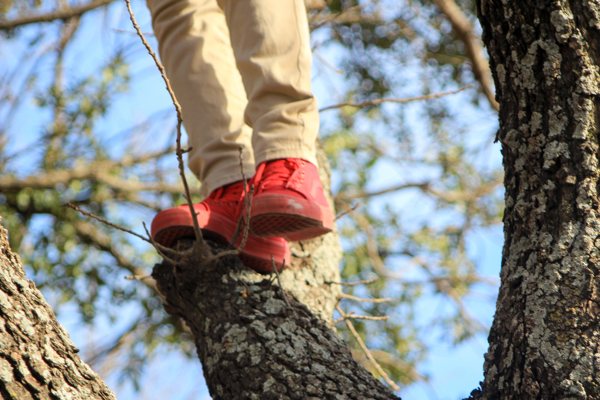 Canon EF 28-105mm f/3.5-4.5 USM sample photo. Those red vans! photography