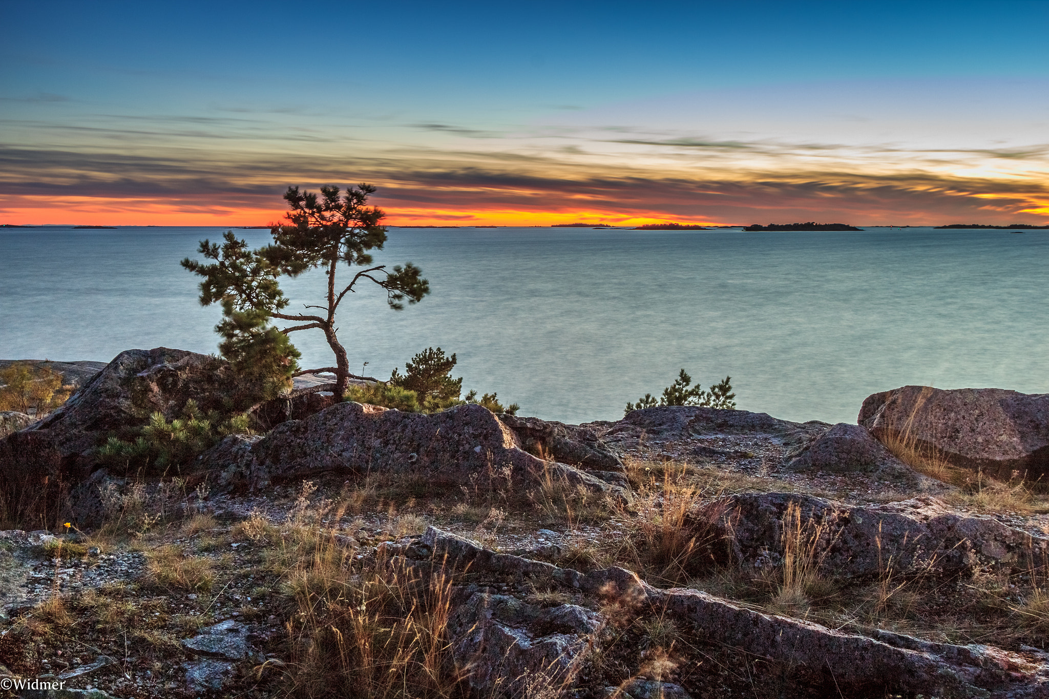 Canon EF-S 10-22mm F3.5-4.5 USM sample photo. Sunset tree photography