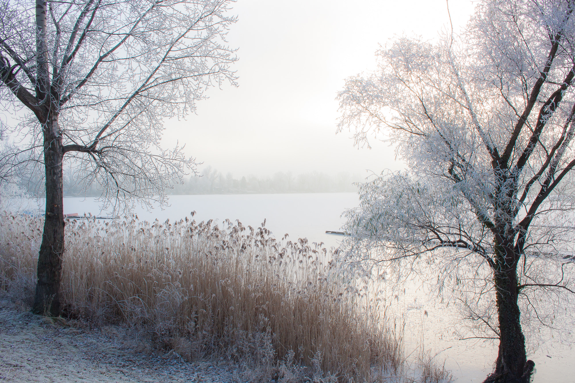 Canon EF-S 18-55mm F3.5-5.6 II sample photo. Frozen photography