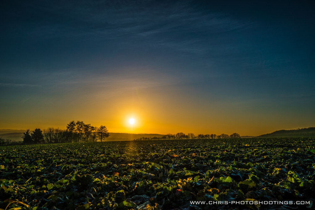 Sony a6300 + Sony E 10-18mm F4 OSS sample photo. Sunset over a field photography