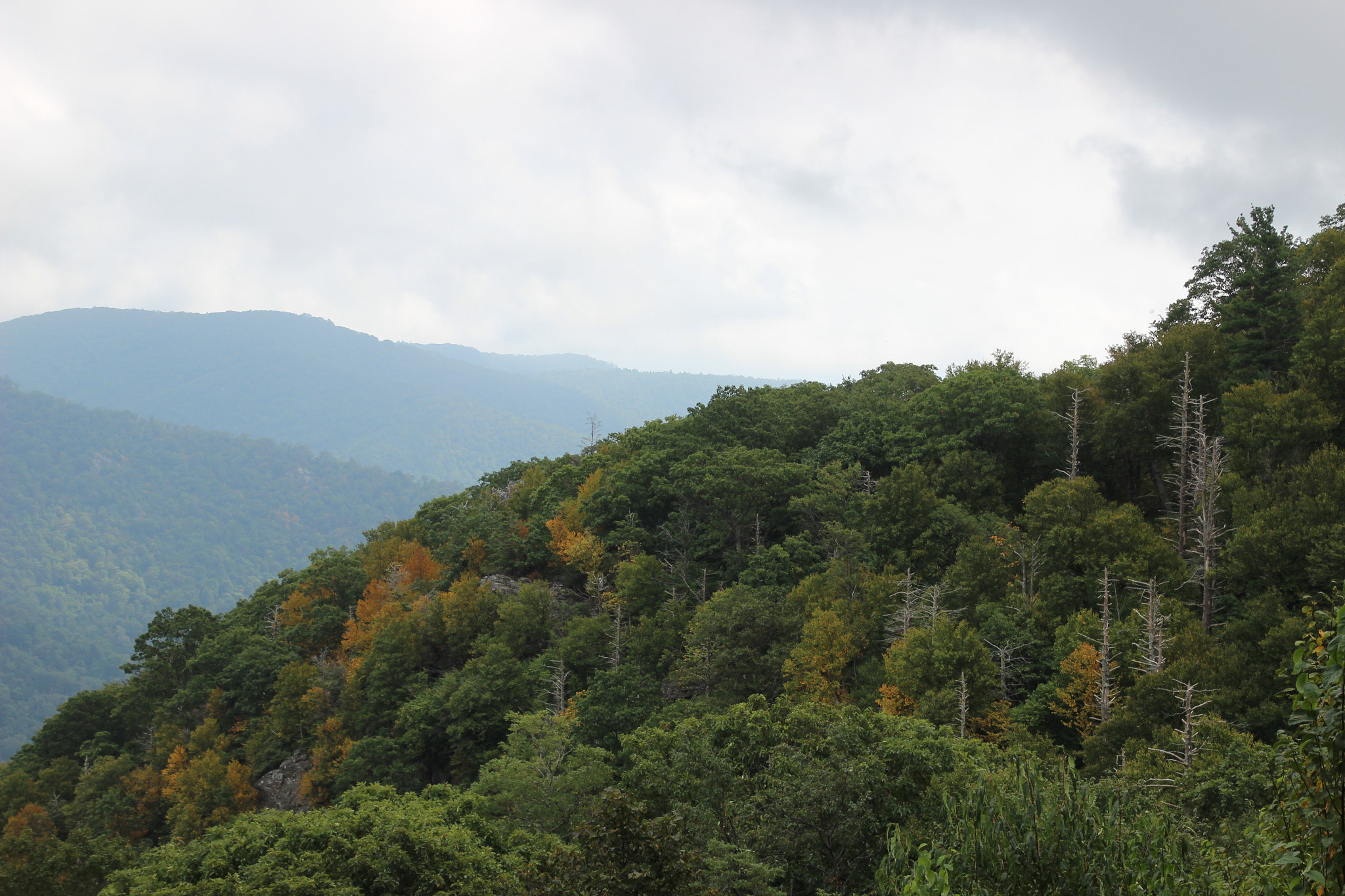 Canon EOS 600D (Rebel EOS T3i / EOS Kiss X5) sample photo. Shenandoah national park photography