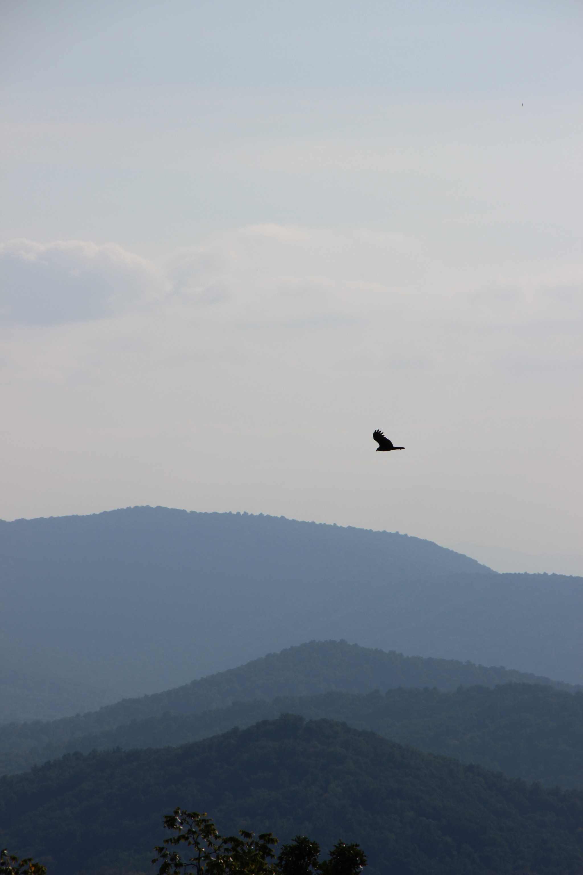 Canon EOS 600D (Rebel EOS T3i / EOS Kiss X5) sample photo. Shenandoah national park photography
