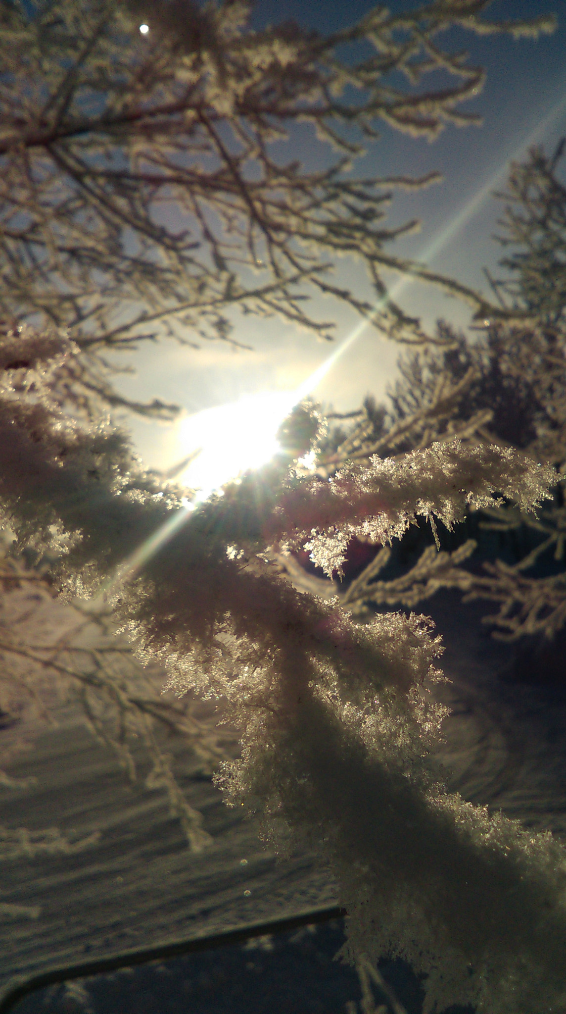 HTC DESIRE 610 sample photo. Stay frosty. photography