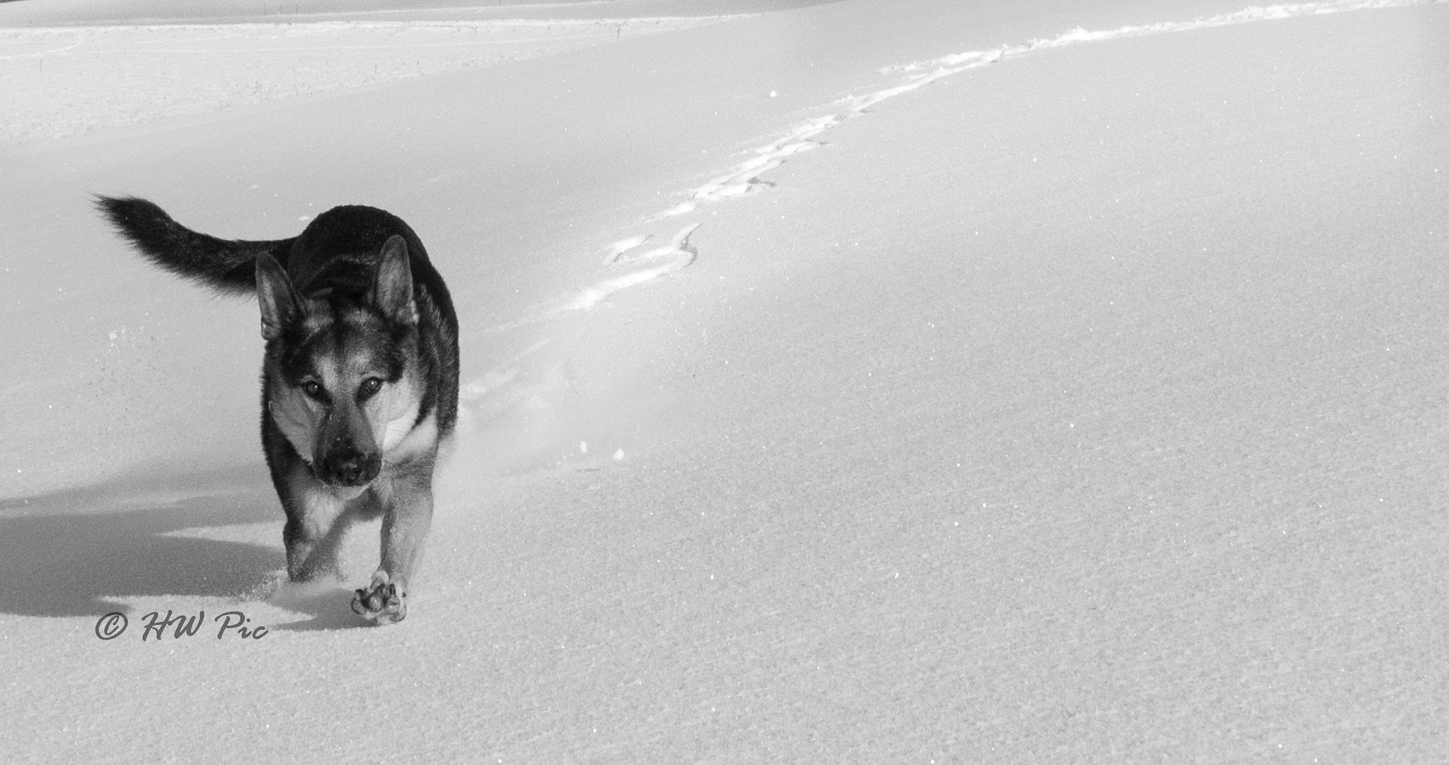 Olympus OM-D E-M1 sample photo. Running through snow powder photography