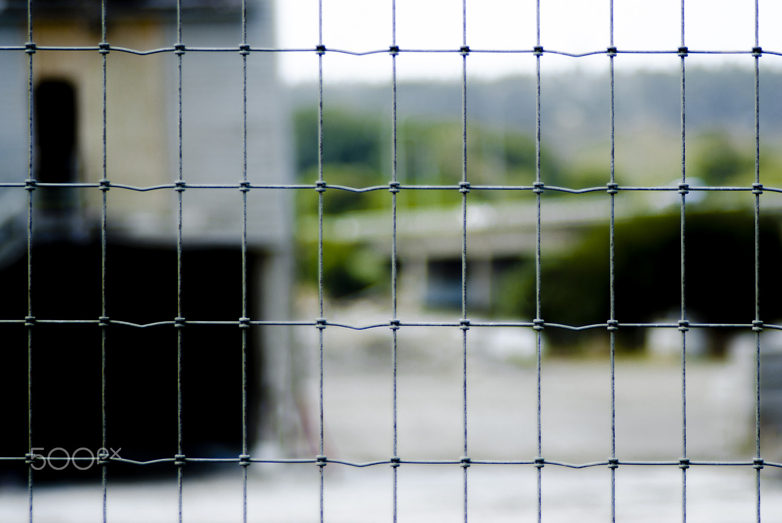 Cosina AF 100-300mm F5.6-6.7 sample photo. Behind the wire photography