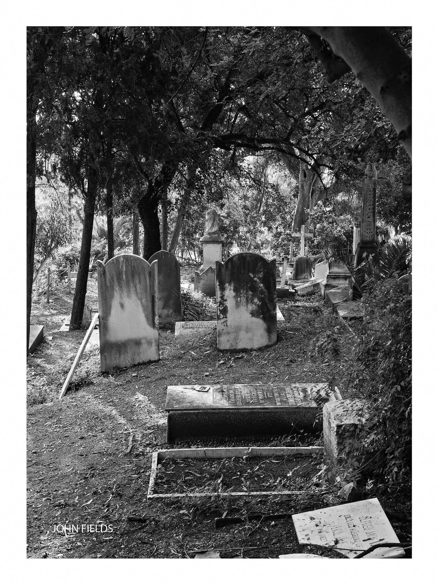 Panasonic Lumix DMC-GX8 + Olympus M.Zuiko Digital ED 12-40mm F2.8 Pro sample photo. Málaga (9) english cemetery photography